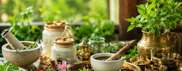 ayurvedic detox centre in kerala